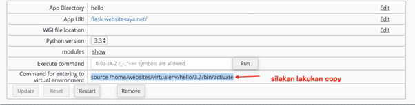 menjalankan Flask Pyton Hosting