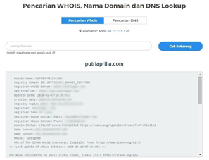  nama domain